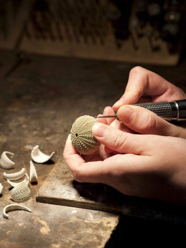 Urchin earrings