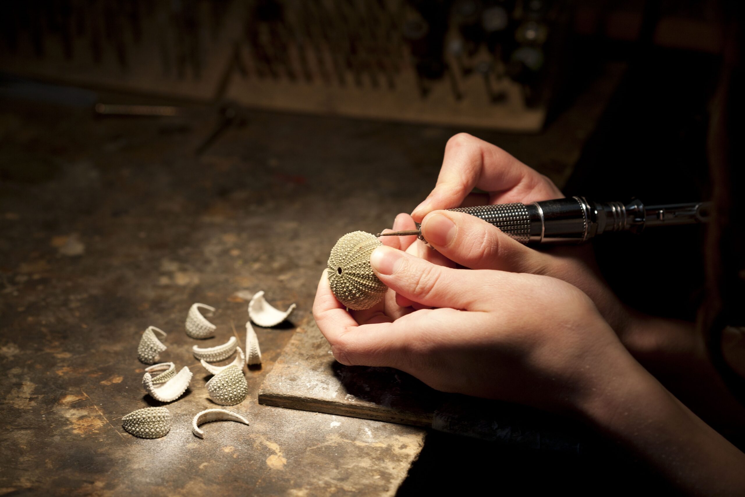 Urchin earrings